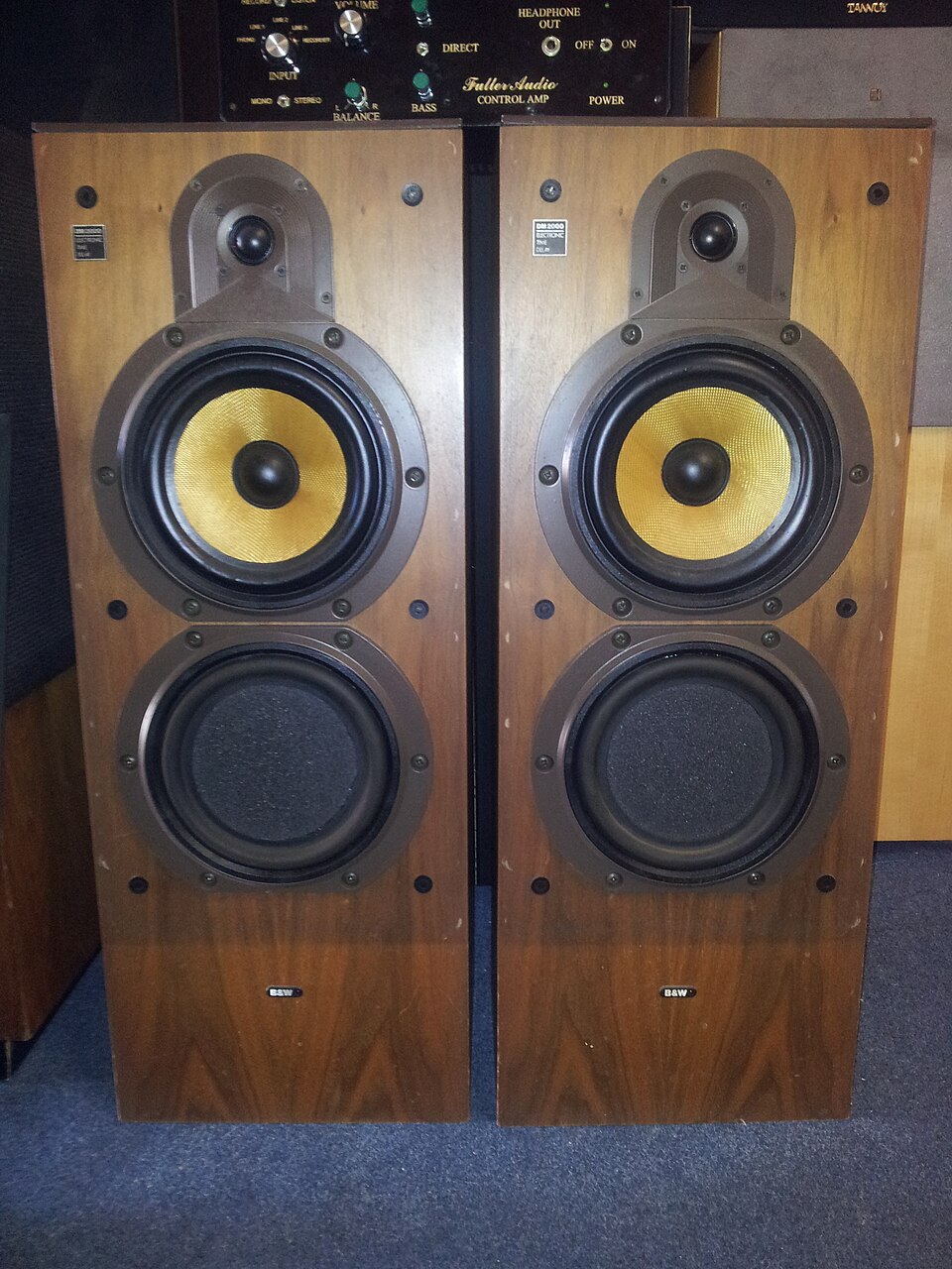 Enceinte Bowers & Wilkins DM2000